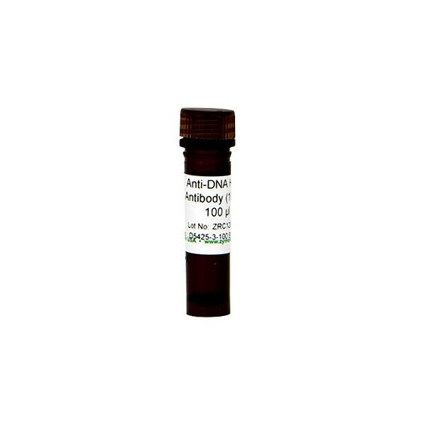 Anti-DNA HRP Antibody, 100X, 100 ul